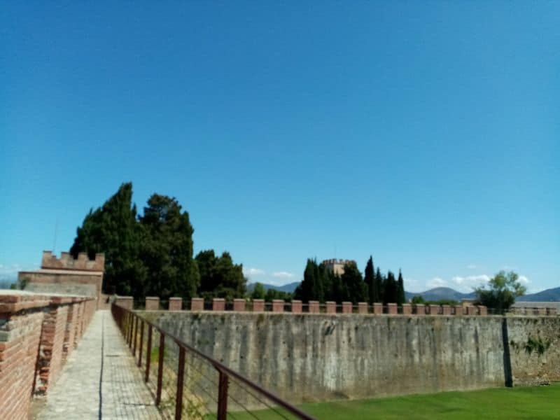 Community Connection