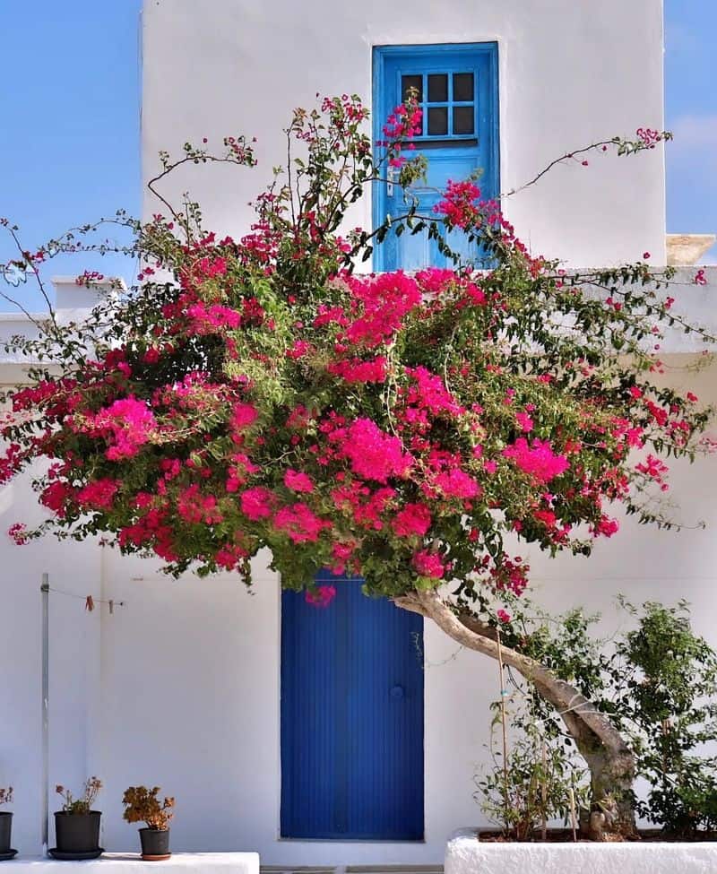 Cultural Richness and Traditions