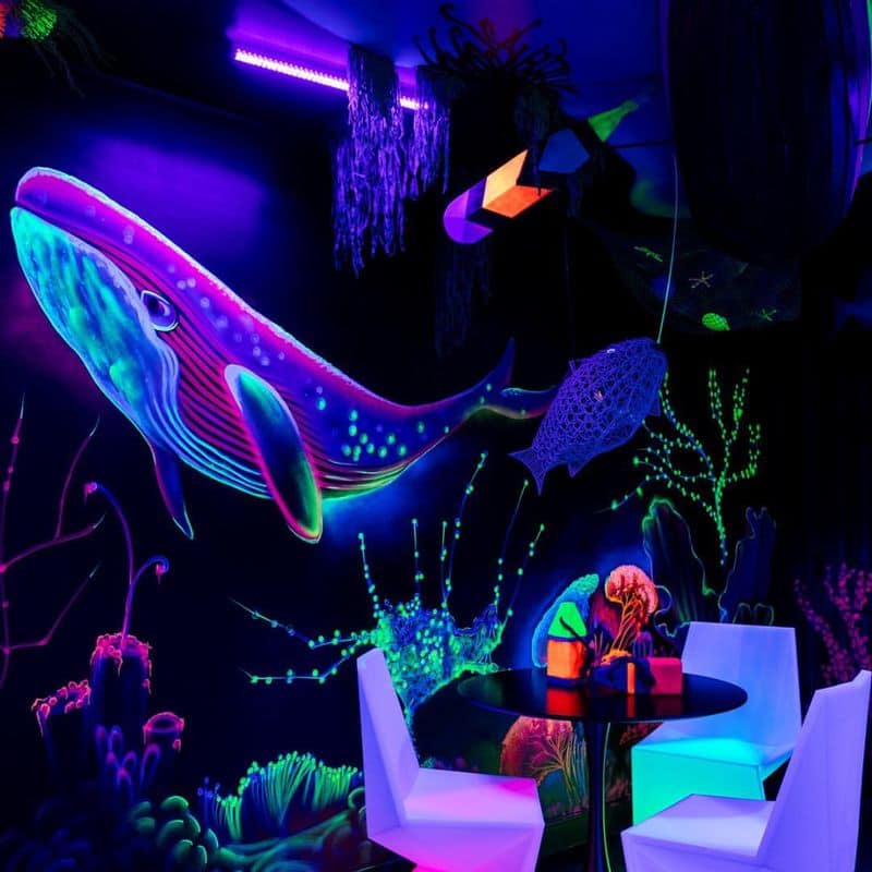 Glow In The Dark Paints