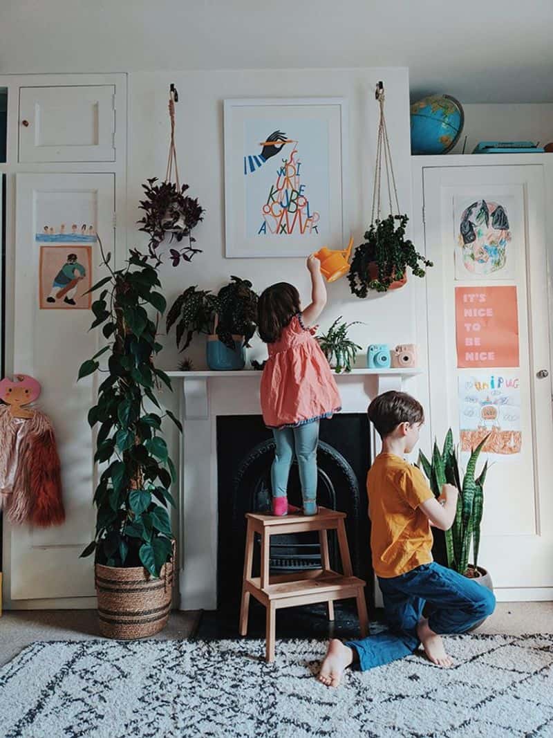 Lush Greenery and Plants